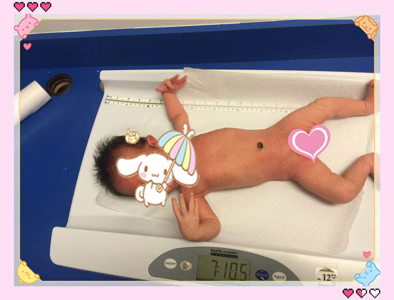 資深的赴美生子哪家好_想找資深的赴美生子，就來河北愛友科技